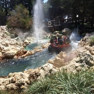 Meet your Posher, Kat